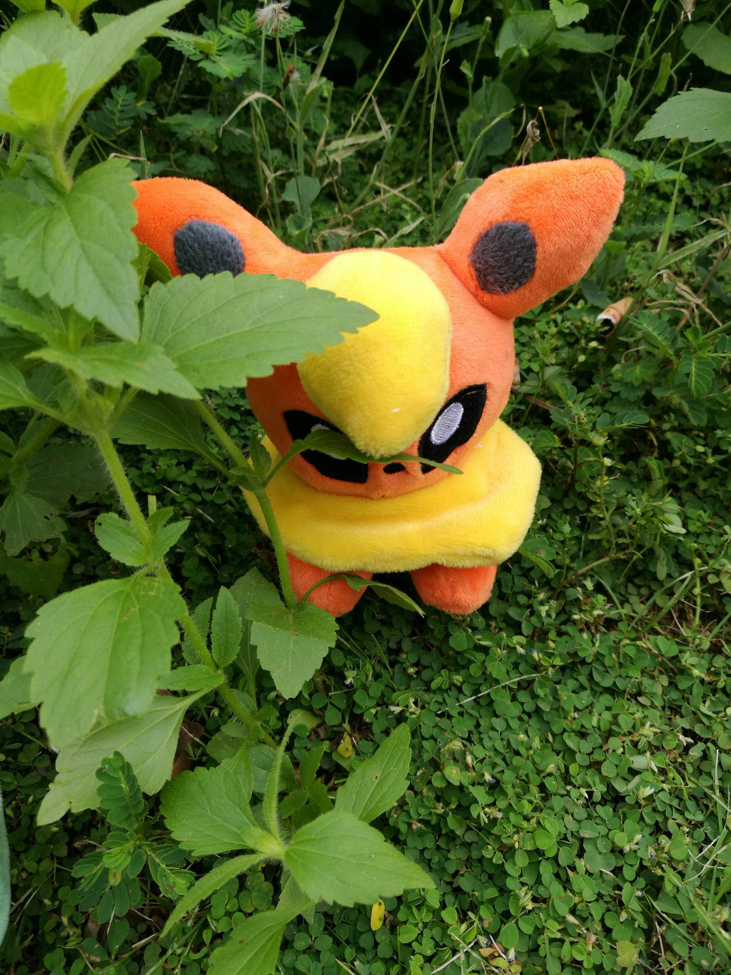 pokemon宠物小精灵口袋妖怪毛绒玩具公仔精灵8款pc依.
