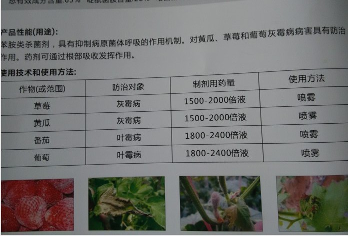 啶酰菌胺 咯菌腈 12克装强强组合灰霉病叶霉特效杀菌剂