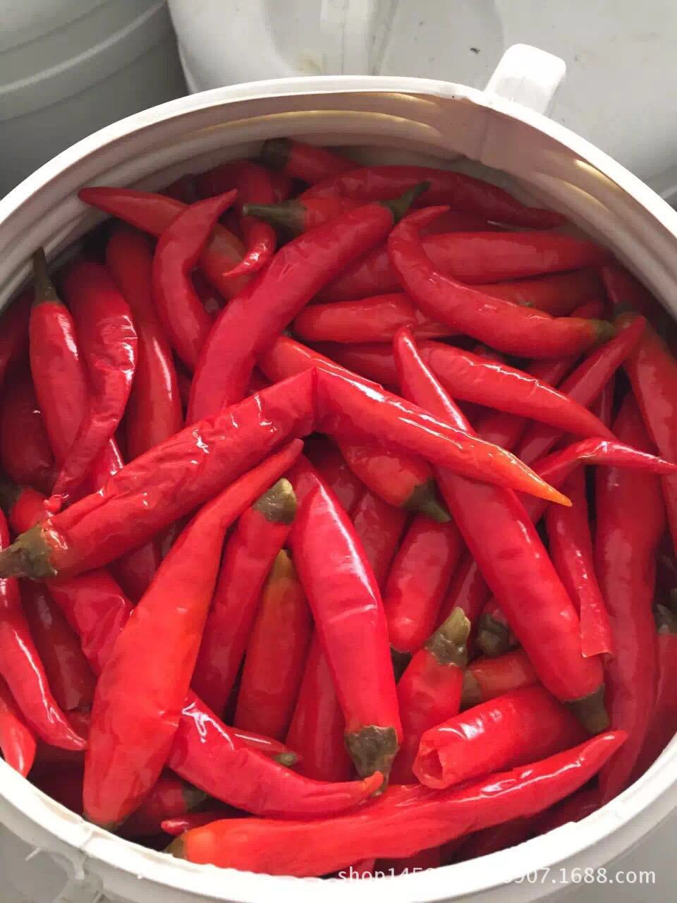 老坛泡辣椒烹饪各种川菜中餐菜肴