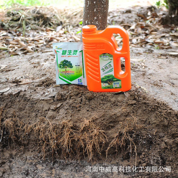 生根剂 大树移栽生根提高成活率 果树苗木促根壮苗 快活林生根剂