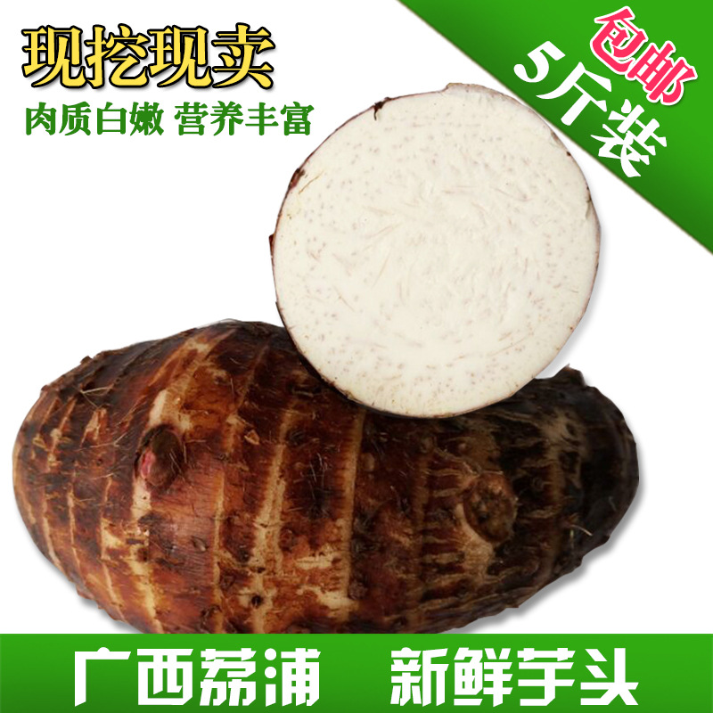 正宗广西荔浦芋头农家自种有机生鲜蔬菜新鲜小香芋5斤装包邮