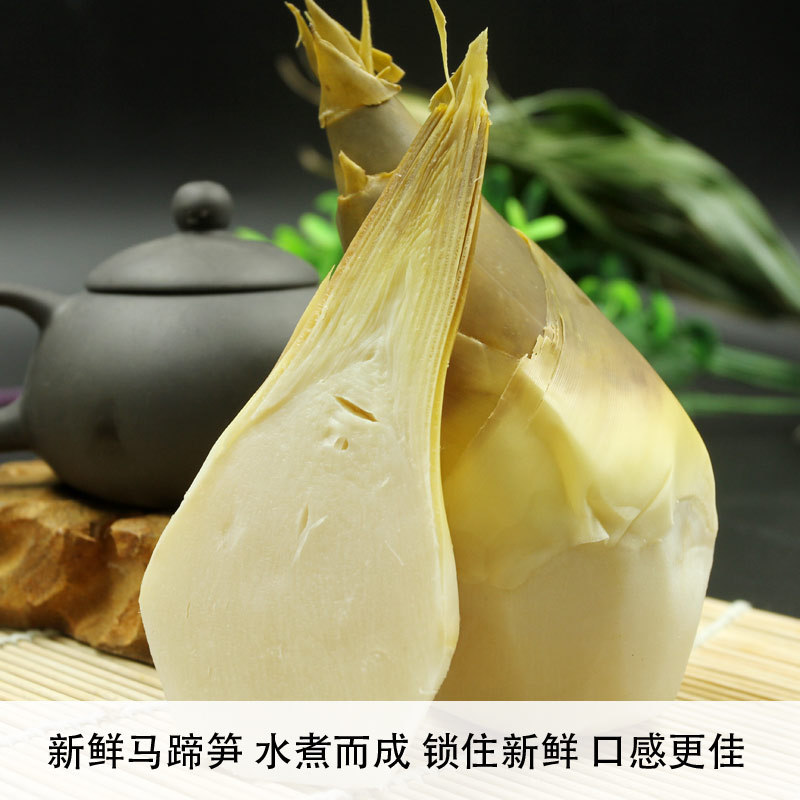 【古甜】带壳绿竹笋500g 马蹄笋 色拉笋 厂家直销 水煮笋批发