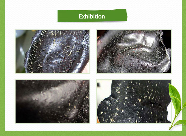 DS311-1 挽脸活性炭鼻膜50g (6)