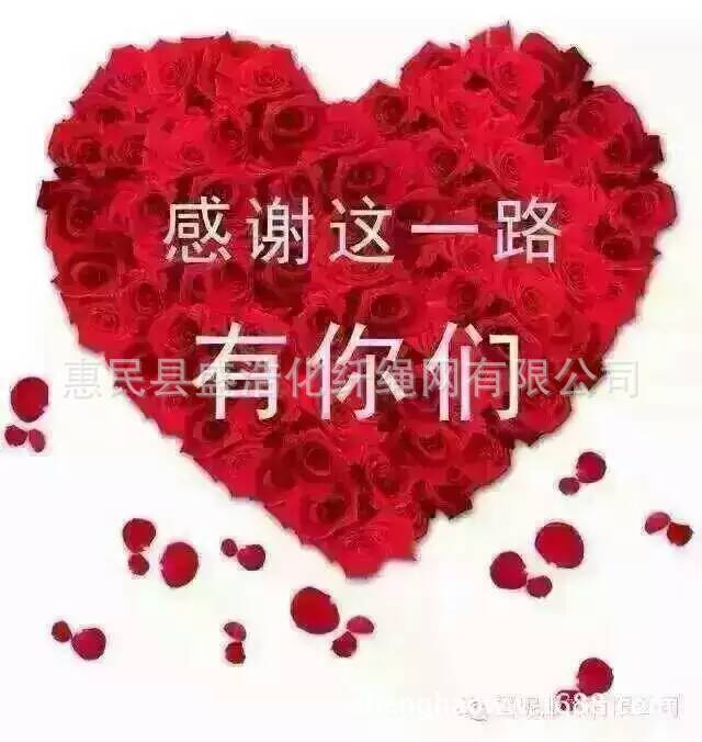阻燃建筑安全网密目建筑安全网工地安全防护网绿色安全密