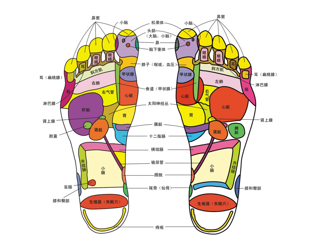 足疗脚灸仪 美容仪器 脚部按摩熏蒸仪 灸疗仪足灸理疗仪