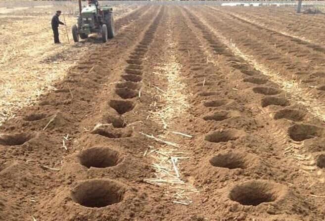 园林种树挖坑机 四轮车配套钻树坑机 立柱子打孔机操作简单