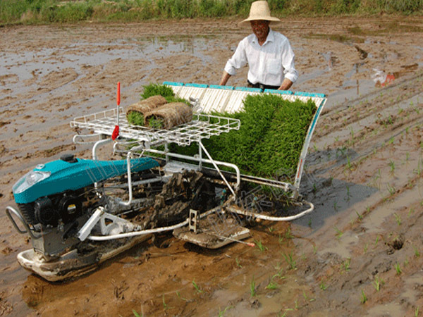 水稻插秧机,水稻插秧机用途,农业插秧设备-阿里巴巴