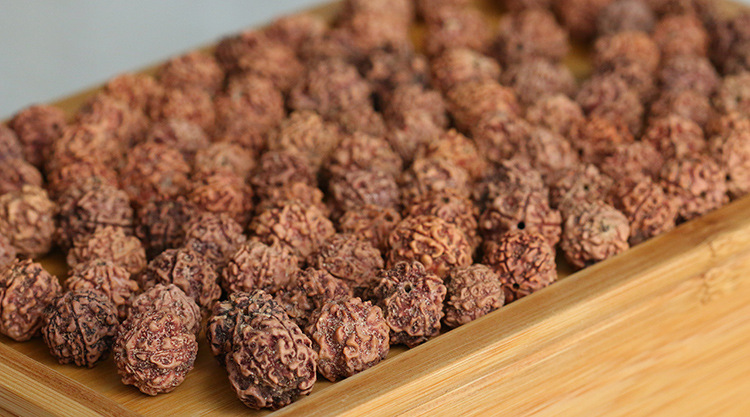 拾豆记 五瓣金刚菩提子 新籽已打孔称斤