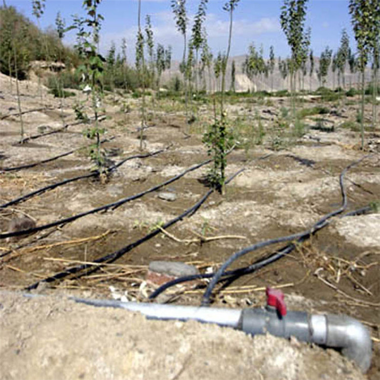 常年供应地埋式渗灌管 园林灌溉渗灌管 节水效率高 量大优惠