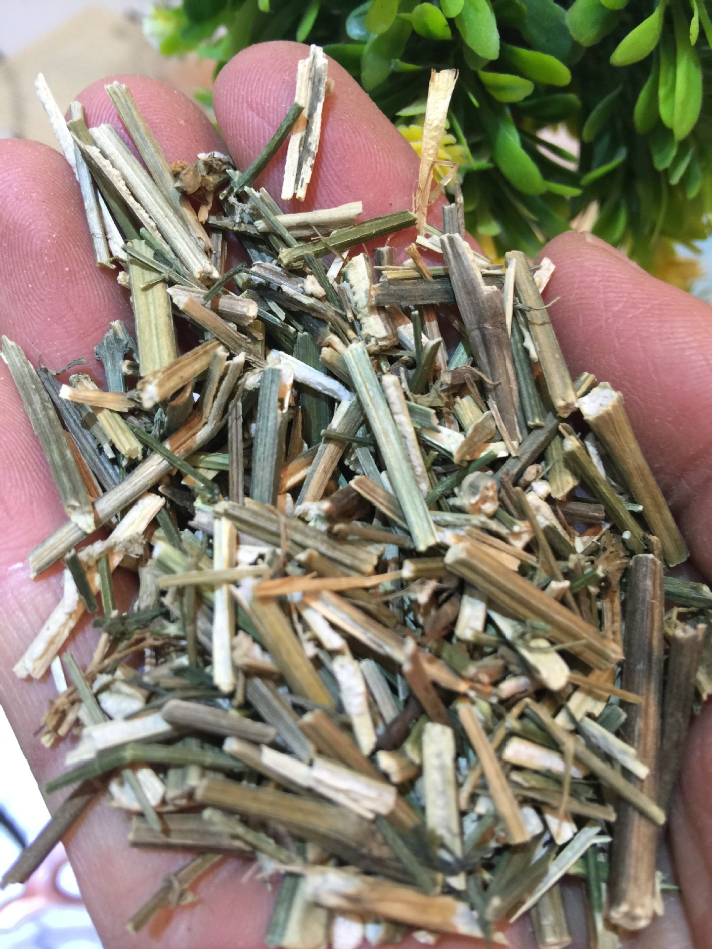 穿心莲饮片,白芍饮片,土茯苓饮片_文秘苑图库