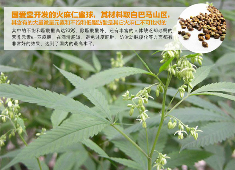 火麻仁提取物 保健品原料 火麻仁植物提取物 现货