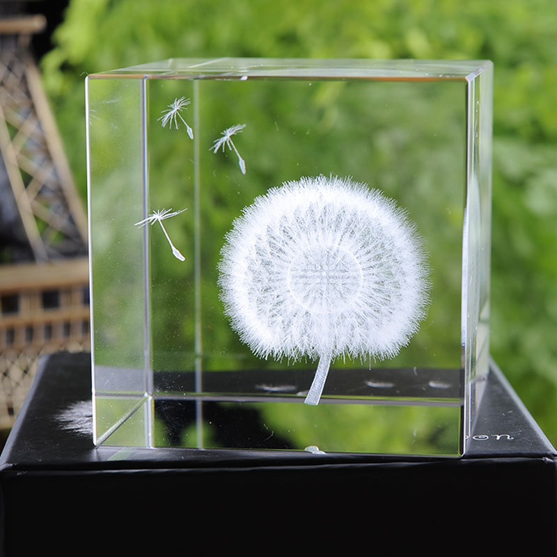 仿真植物蒲公英水晶工艺品6cm 植物标本盒 创意礼品生日礼物