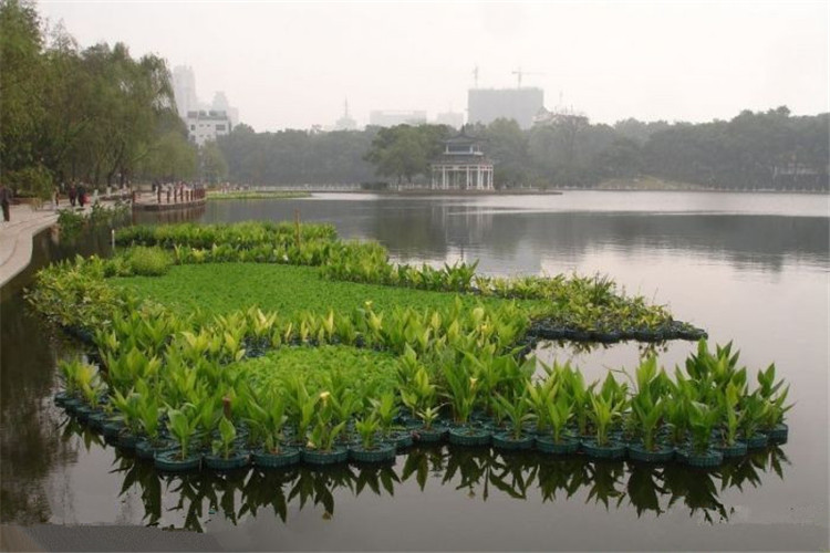 厂家提供制作人工浮岛 类花卉浮岛生态浮床河道绿化水生植物