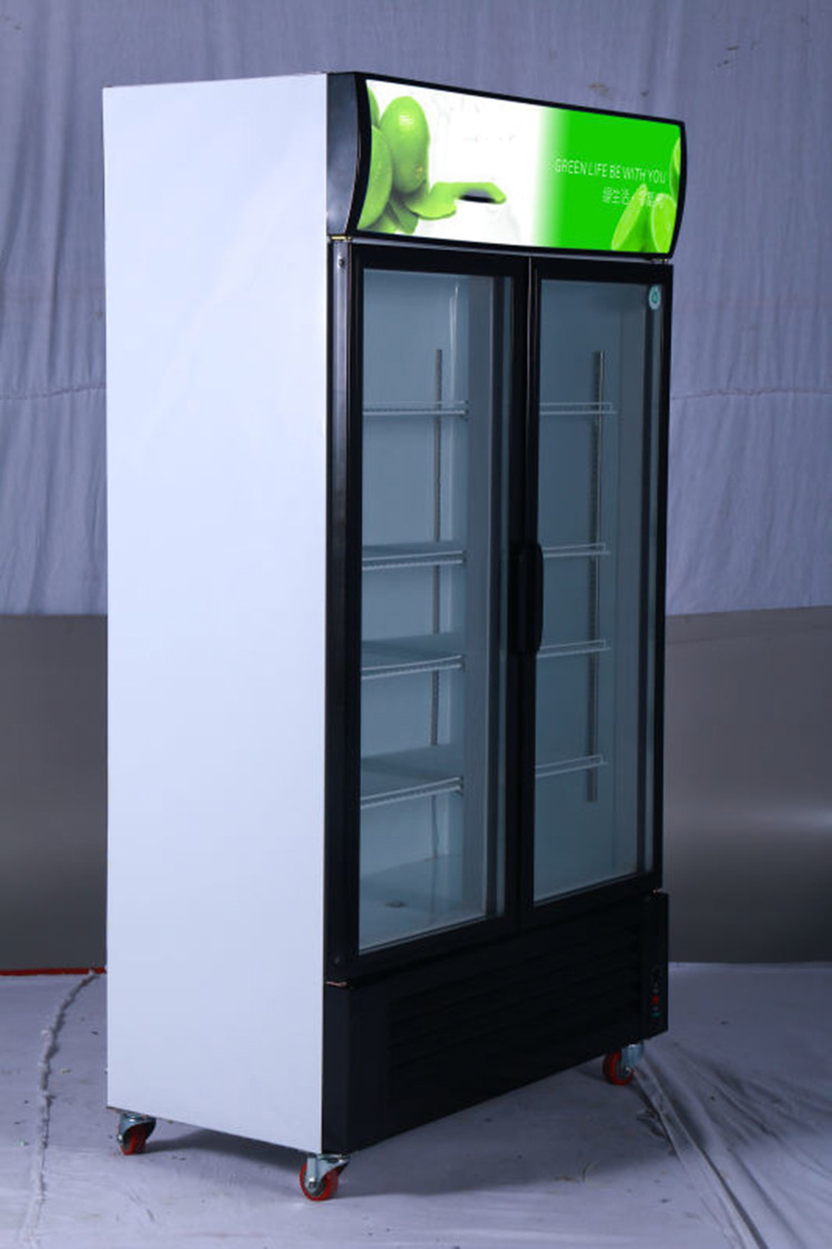 双门展示柜 直供节能环保冷藏陈列柜 酒吧咖啡店食品饮料保鲜.