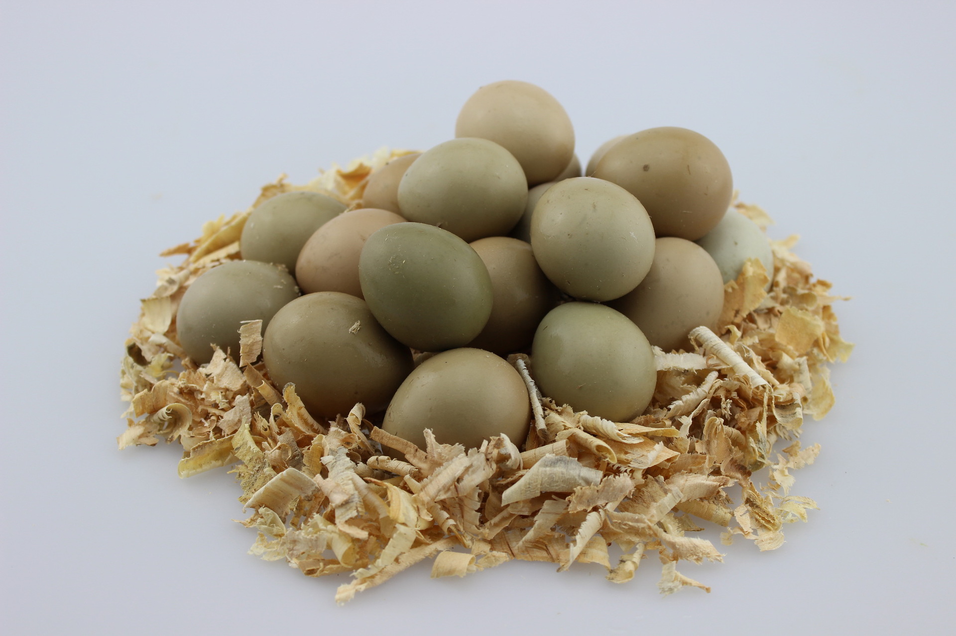 落庄养殖场野鸡蛋