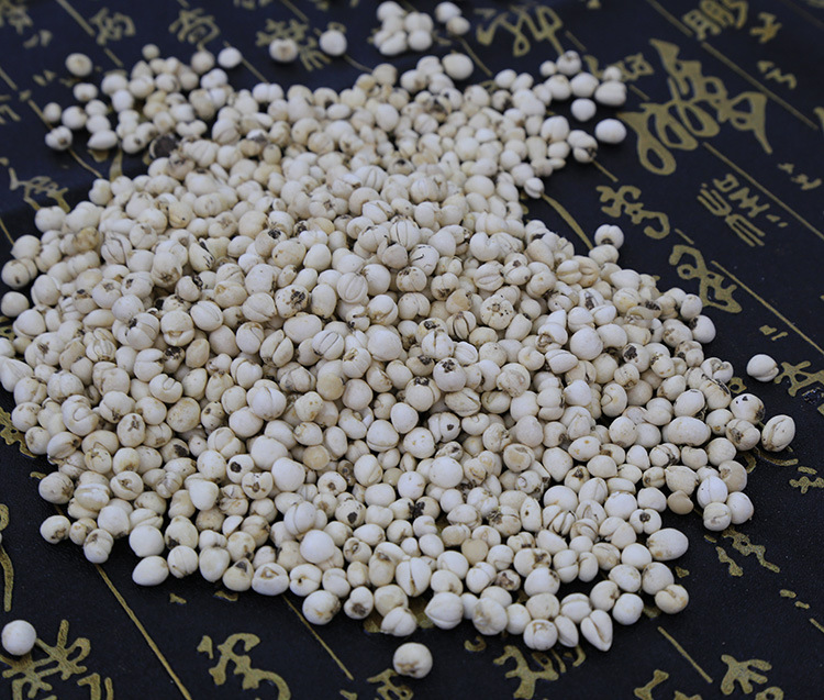 【盛世堂】批发正宗纯天然野生川贝母 珍珠贝 松贝 怀中抱月