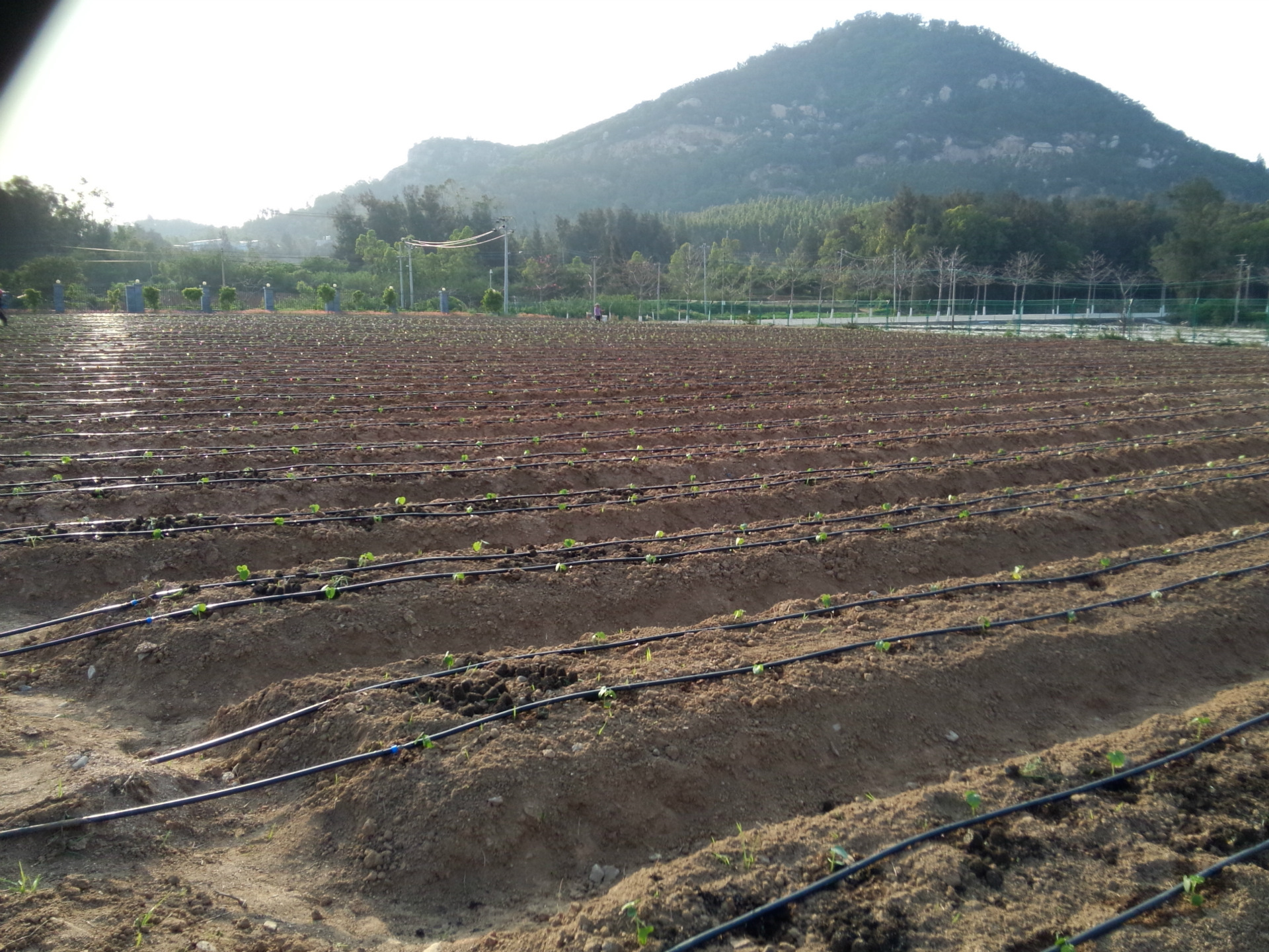 厂家供应内镶式圆柱形12mm 16mm 各种间滴灌管 .
