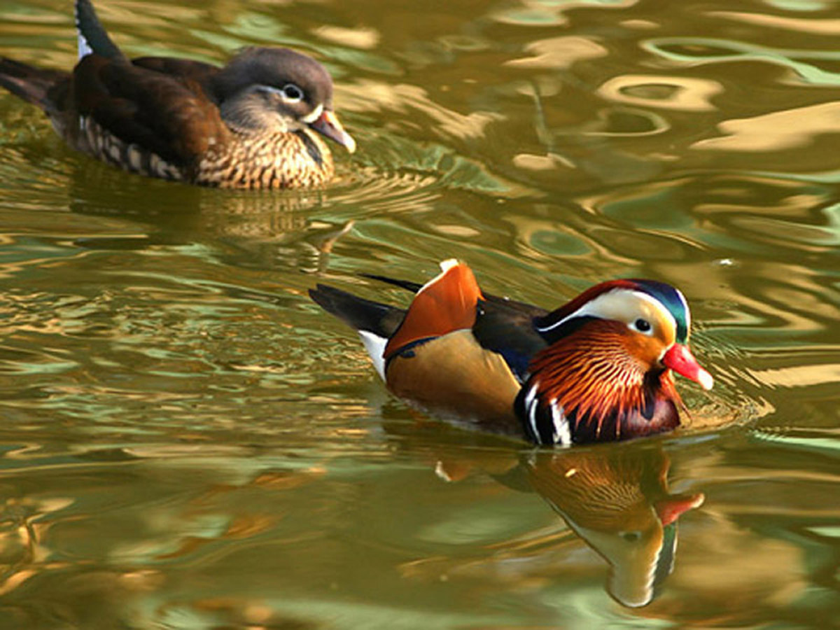 宋**的个人主页-阿里巴巴1688.com