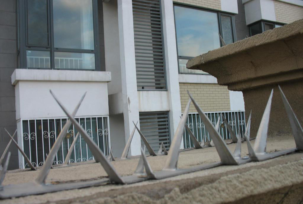 别墅安全防爬刺钉 镀锌防盗刺钉 大中小