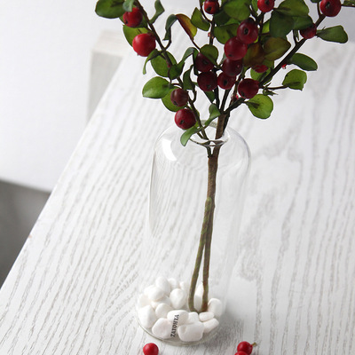 tayohya多样屋正品 晶彩系列花瓶 简约创意透明玻璃桌面摆件礼品