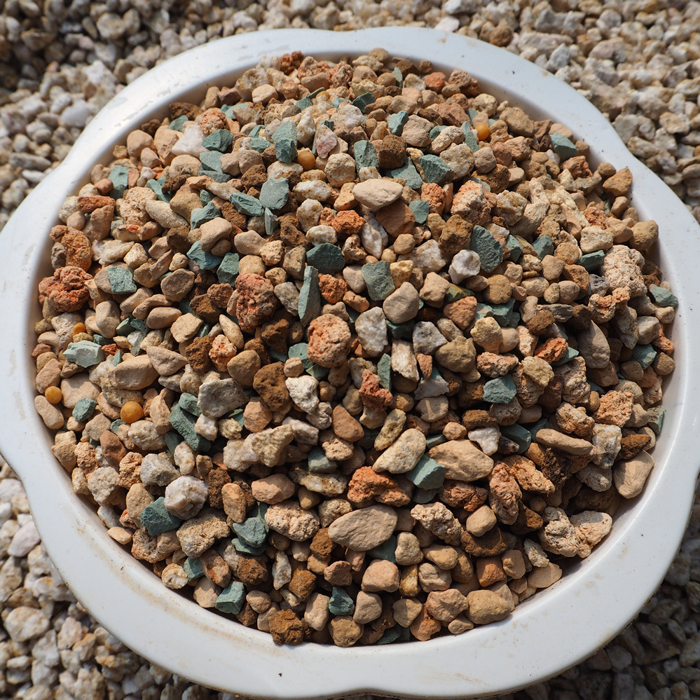 多肉植物专用 高档栽培基质 多肉颗粒土 1公斤