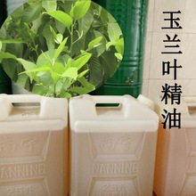 提取白兰花白兰叶精油 植物提取精油 玉兰叶精油