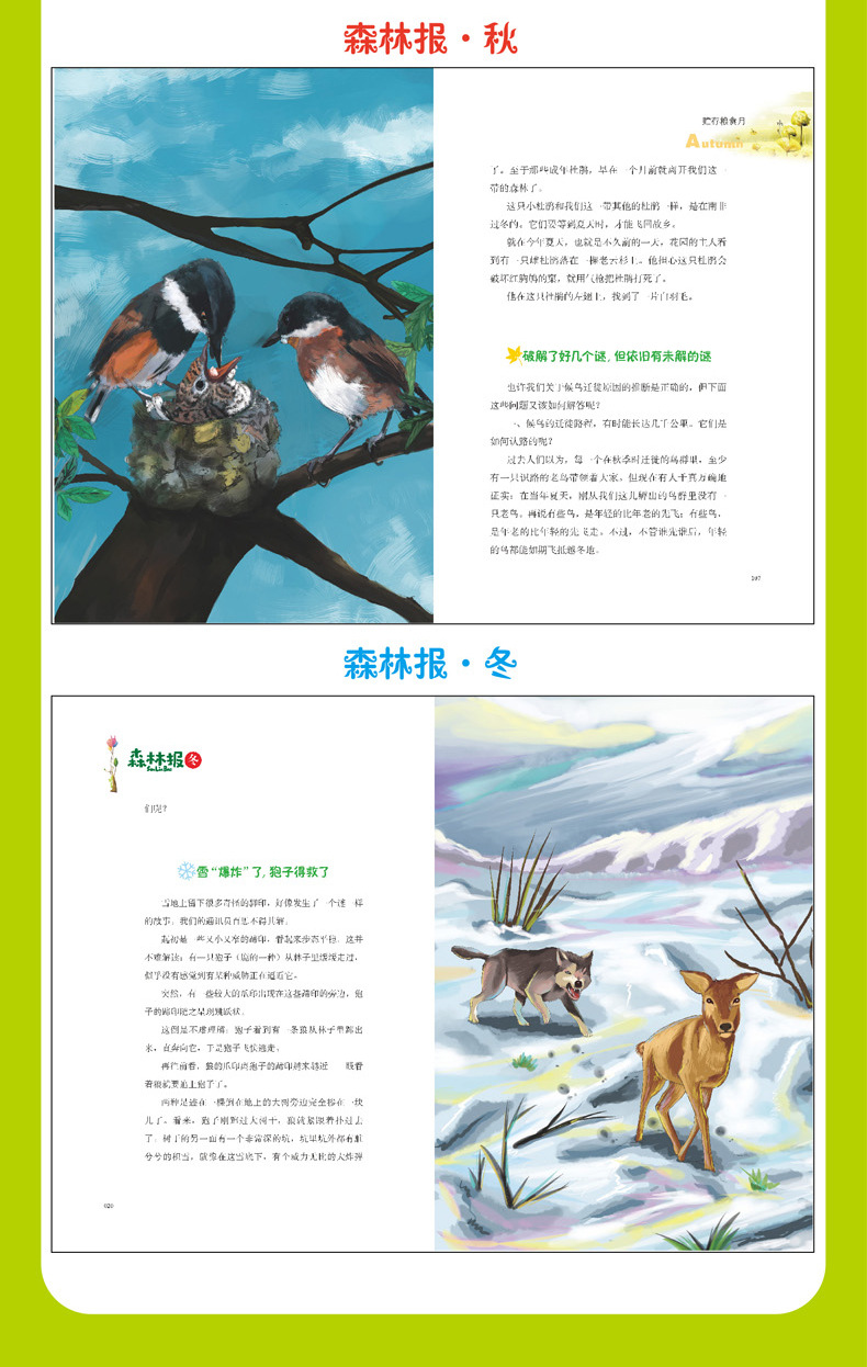 森林报春夏秋冬全四册 小学生课外阅读书籍