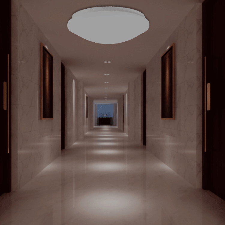 显龙声控吸顶灯 12瓦 led声控照明灯