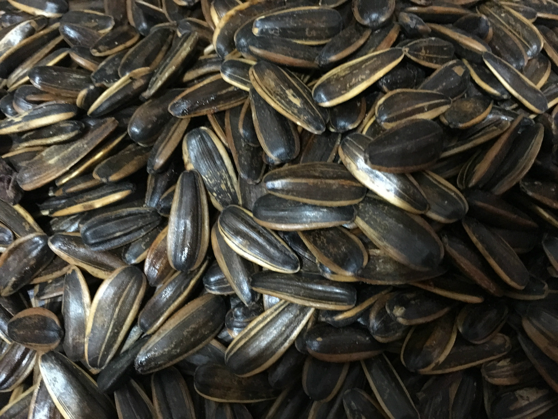 供应侯爷椒糖蜜浆味葵瓜子5kg一箱精品大瓜子散装葵瓜子