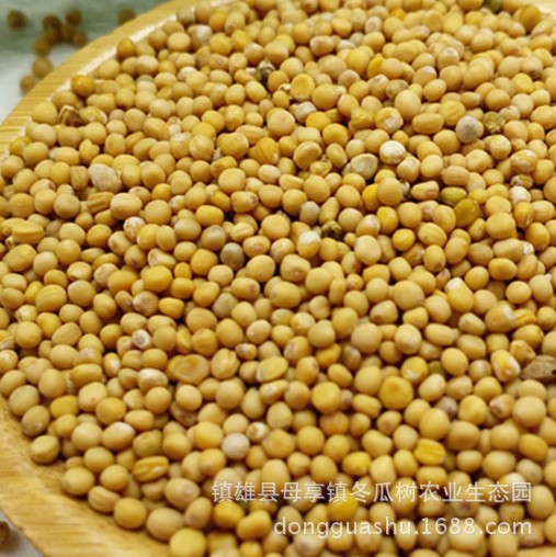 黄芥子 荆芥子 黄芥籽500克 可以免费代磨芥末粉 食用凉菜