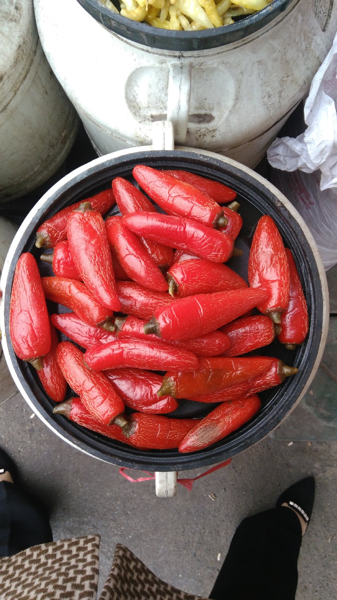 四川泡椒泡青朝天椒坛子泡圆泡椒四川泡青椒60斤散装厂家特产批发