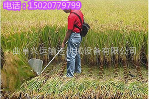 QQ图片20140614103747_副本_副本