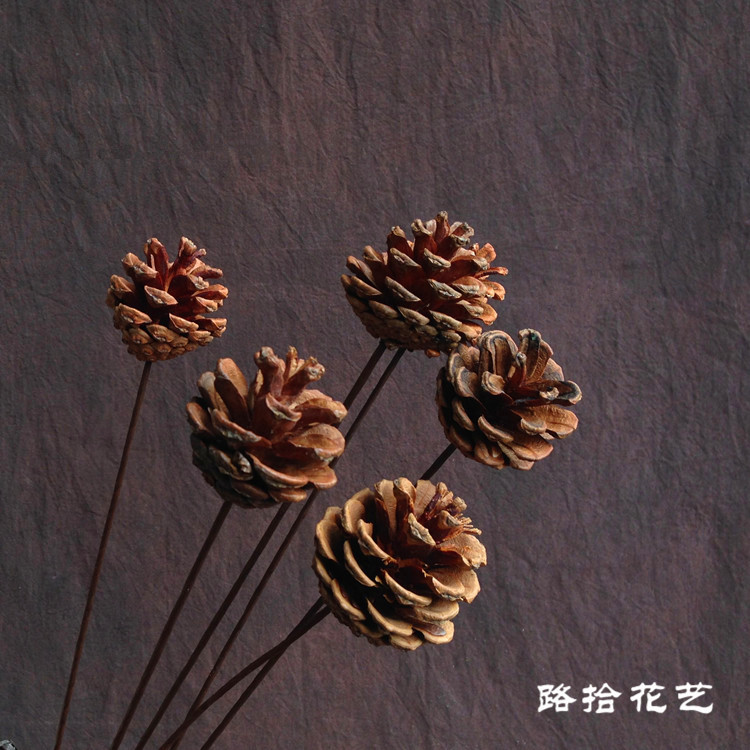 家居装饰禅意艺术拍摄道具天然手工diy松球摆件原生态松果干花