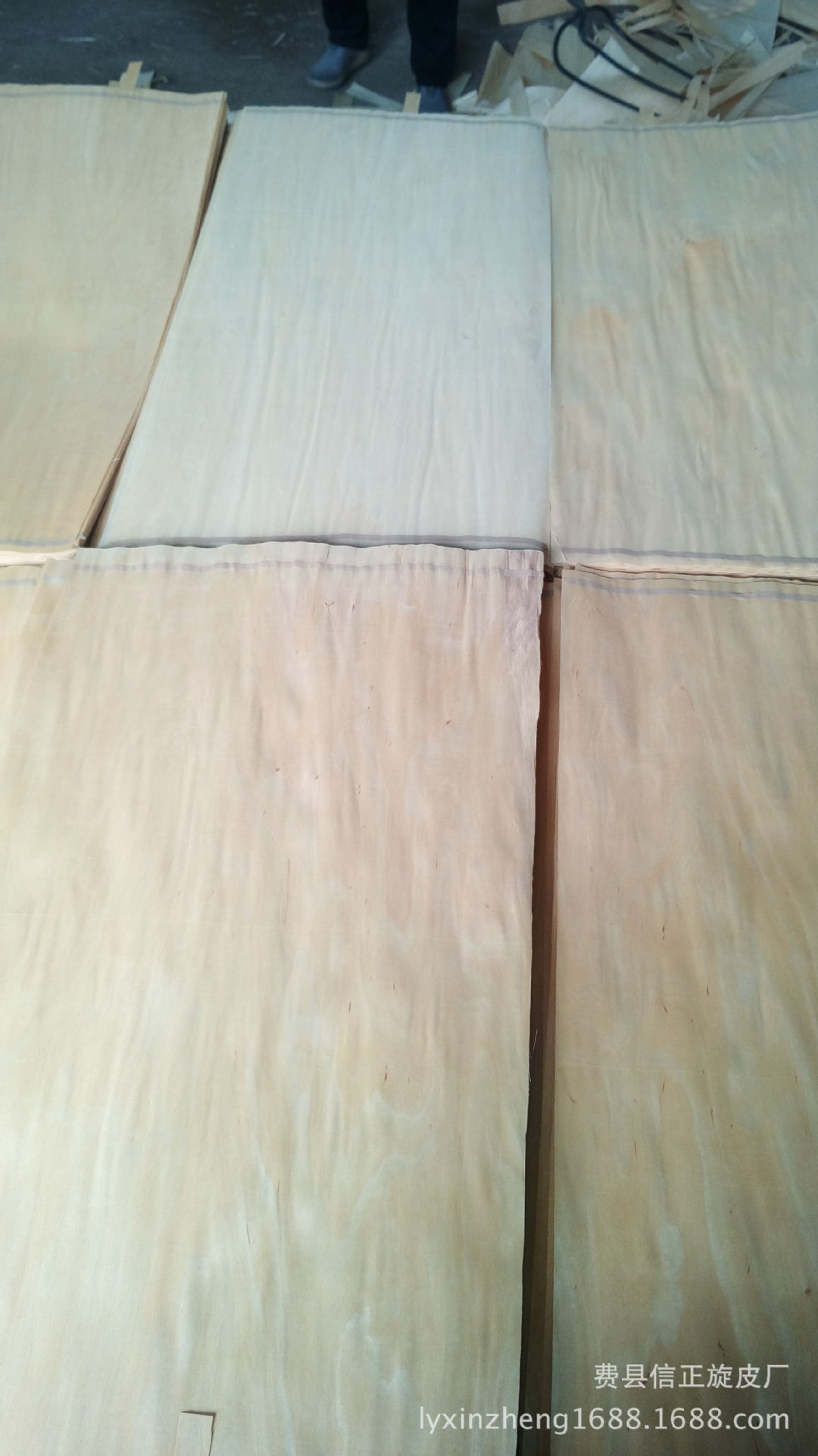 0mm无巴结桦木面板木皮 贴面专用桦木木皮