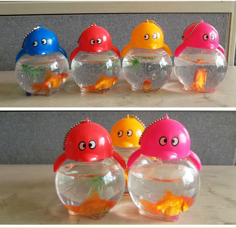 大qq密封鱼瓶塑料瓶qq塑料卡通鱼瓶 pet生态可爱鱼瓶批发