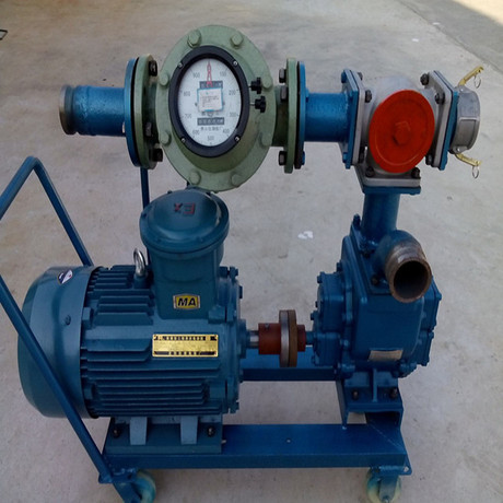 供应淄博龙威牌移动式电动加油泵