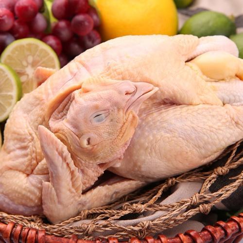 广东正宗宫廷黄清远鸡江村黄鸡冻鸡粤菜特色原料走地鸡冻品