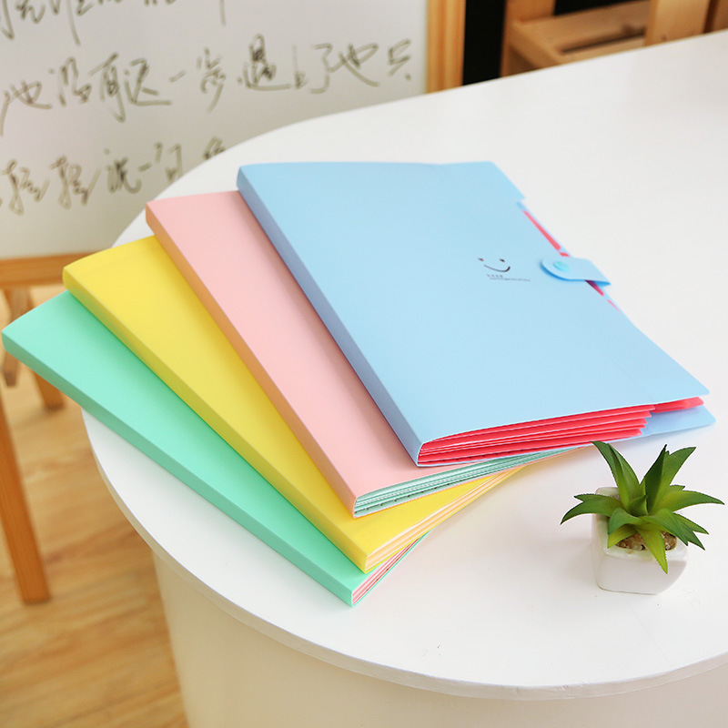 5-in Folder Plastic A4 File Bag Folder Test Paper Clip Buggy Bag File Holder Wholesale