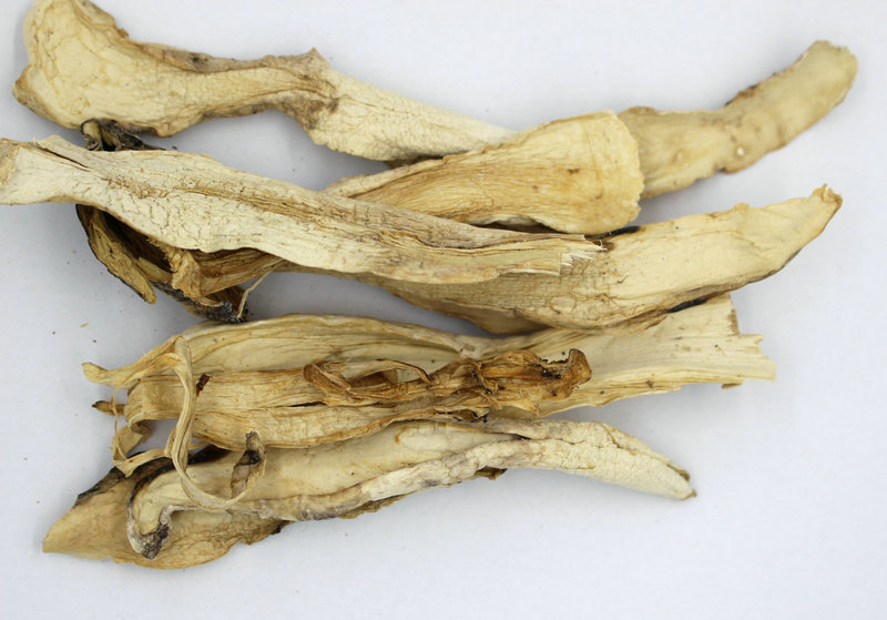 福建土特产 鸡腿菇长腿菇白菇无硫合作社种植干货鸡腿菇 散装批发