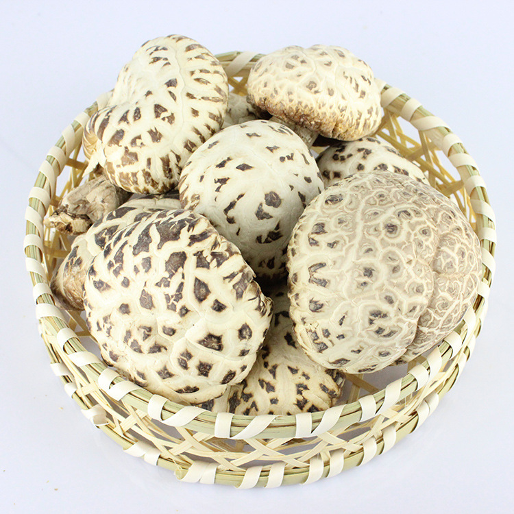 【邑珍】 优质一级花菇 大花菇 秋栽一号天白花菇茶花菇散装批发