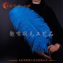 厂家批发55-60cm粗杆彩色鸵鸟毛 婚庆演出粗杆鸵鸟羽毛装饰