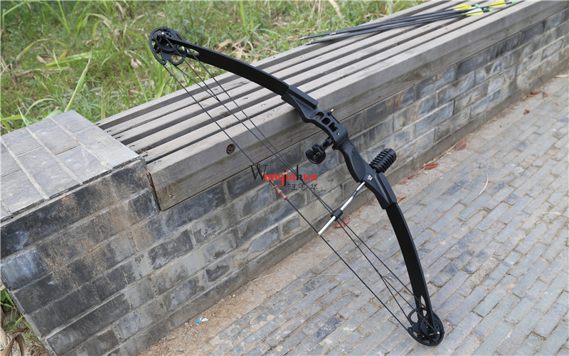 弓箭复合滑轮弓射击射箭休闲俱乐部弓新手入门户外狩猎射鱼弓箭