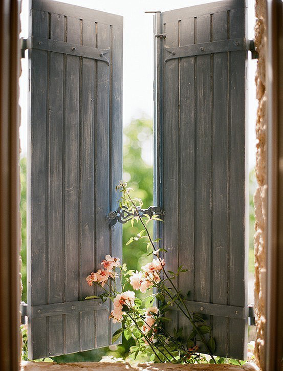 【分享帖】 - 一窗一世界