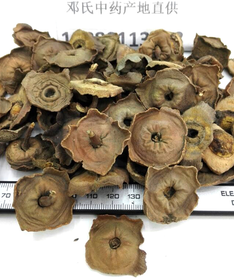 老柿蒂无硫1公斤起批散装批发柿钱产地直供柿丁柿子把中药材批发