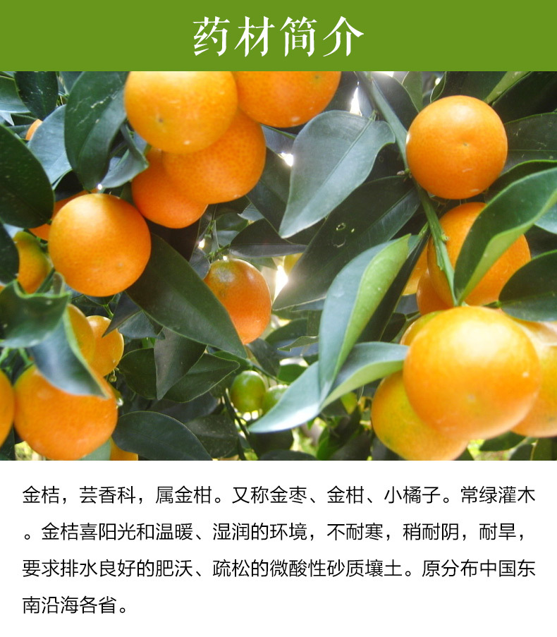 萃莼堂花草茶批发特级精选金桔干袋装金橘片oem贴牌代