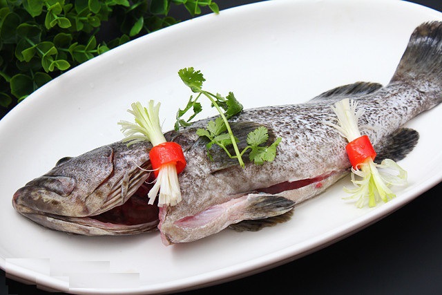 家之宴食品 冷冻 三去 石斑鱼 批发质量上乘,价格从优
