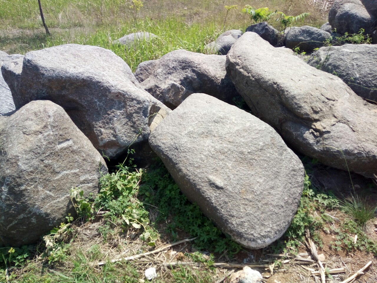 杭州市建德市鹅卵石 大卵石 自然河石 河卵石开采基地**