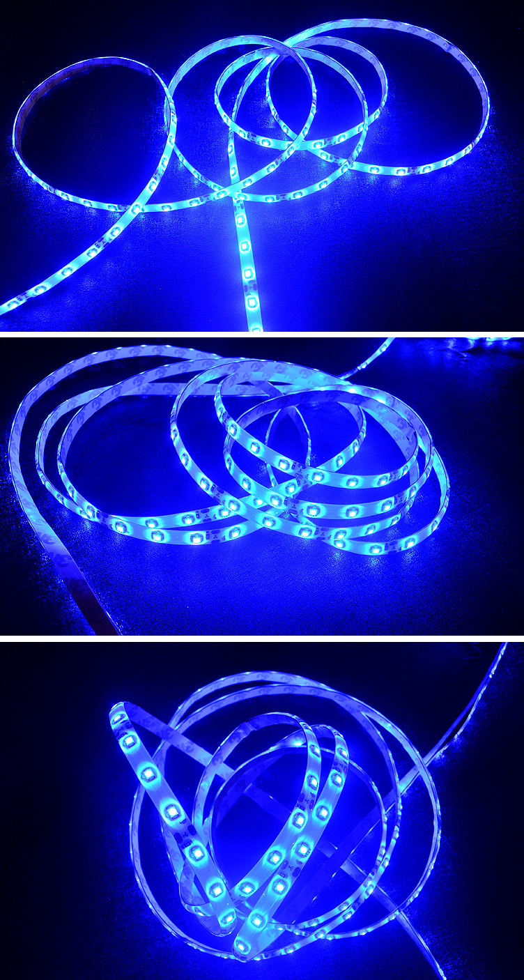 led灯带批发 2835led防水灯带 蓝光2835灯带 2835贴片灯带齐芯达