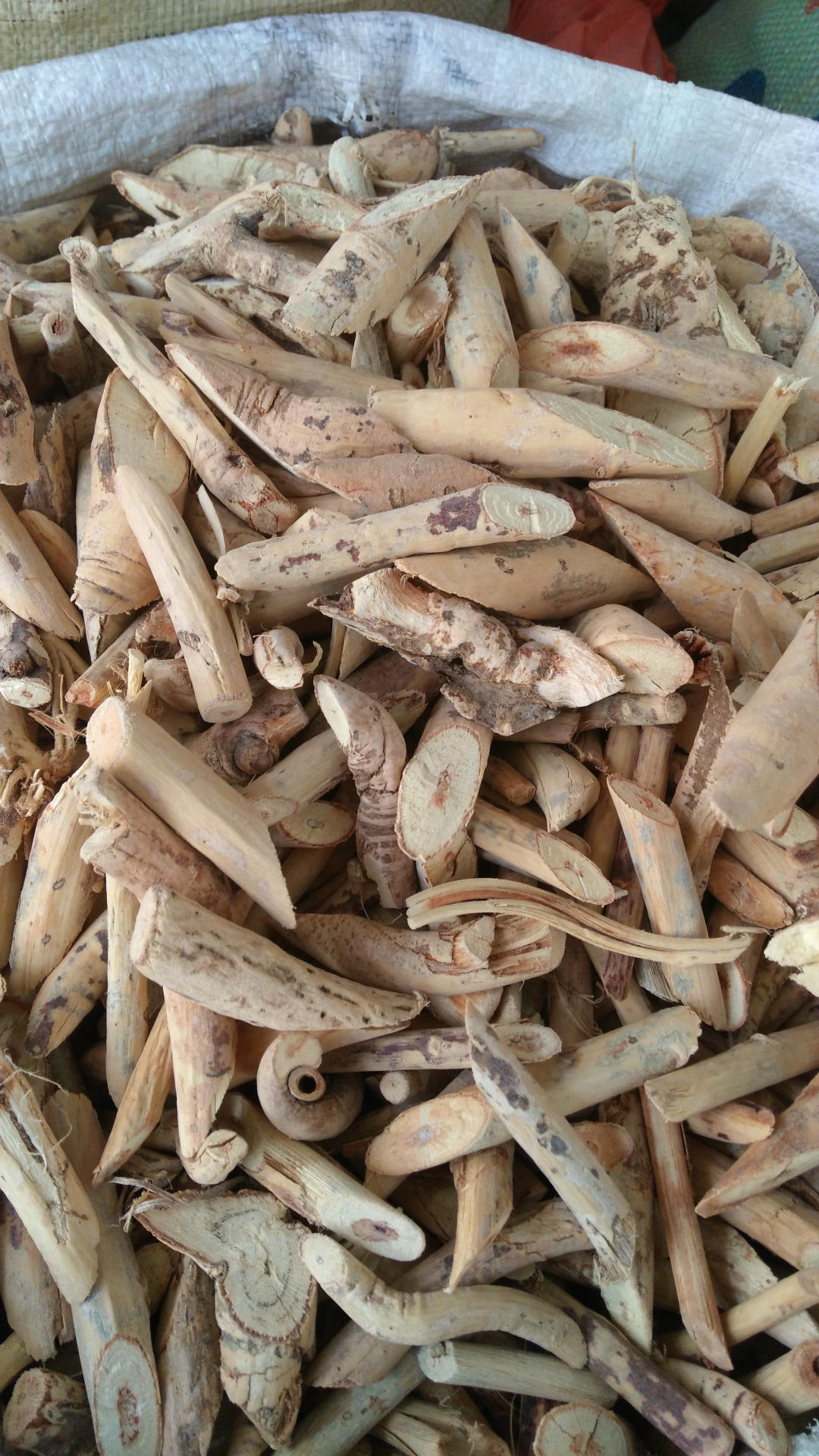 野生牛大力根 牛大力 山莲藕 金钟根 倒吊金钟 大力薯