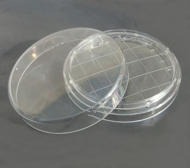 一次性无菌塑料表面培养皿接触皿 接触碟 罗达克平皿 物表接触皿